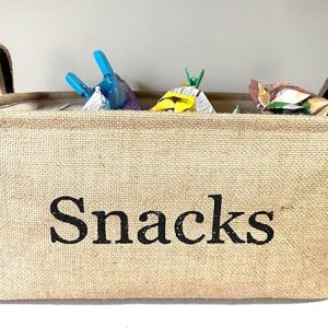 Snack Storage Bin